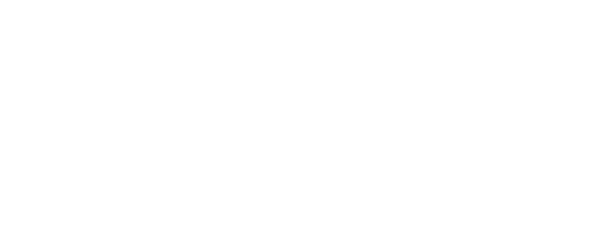 WFS